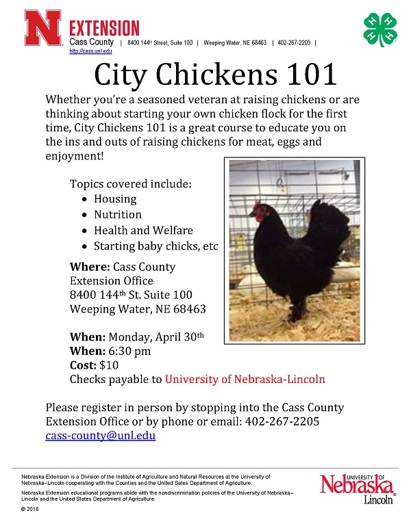 City Chickens 101 Class Flier