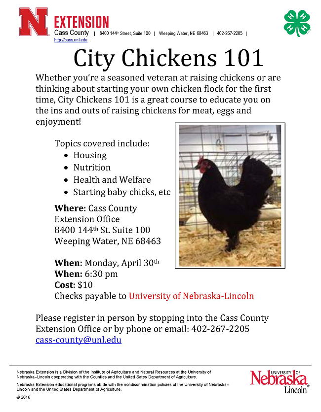 City Chickens 101 Class Flier