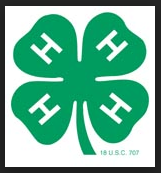 4 H Clover