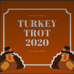 Turkey Trot Logo