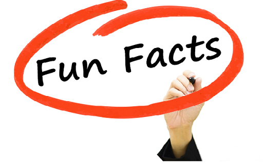 Fun Fact Image 2