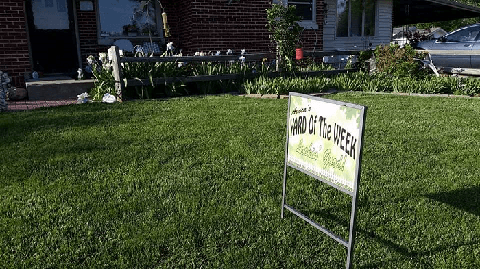 Yard of the week
